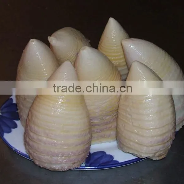 2016 New Crop Canned Bamboo Shoot 2950gram photo-5