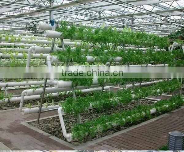 A Type Tower Hydroponics System for Greenhouse Agriculture photo-4