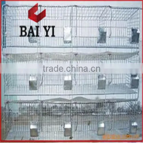 BAIYI Mesh Company Rabbit Cage Industrial Sale High Quality Wire Mesh Commercial Rabbit Cage photo-6