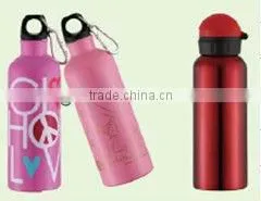 Stainless Steel Sports Bottle