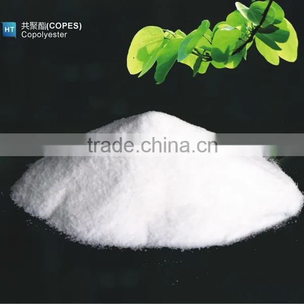 Copolyester Hotmelt Adhesive