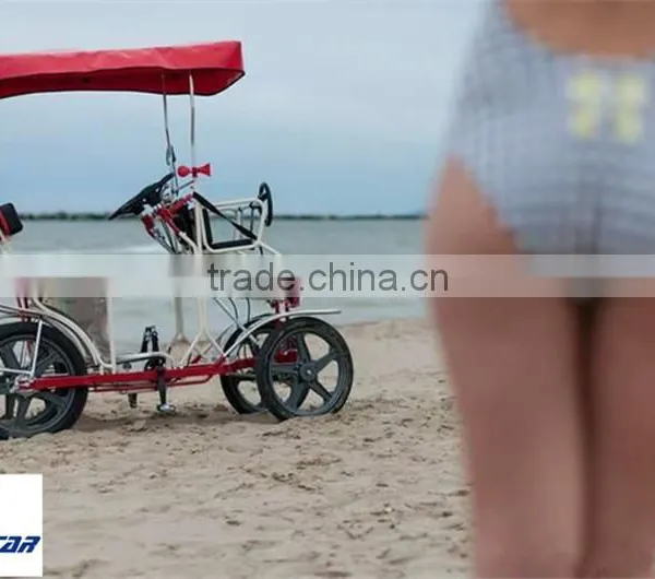 Surrey Bike/surrey Bikes for Sale/bike for Sale Online