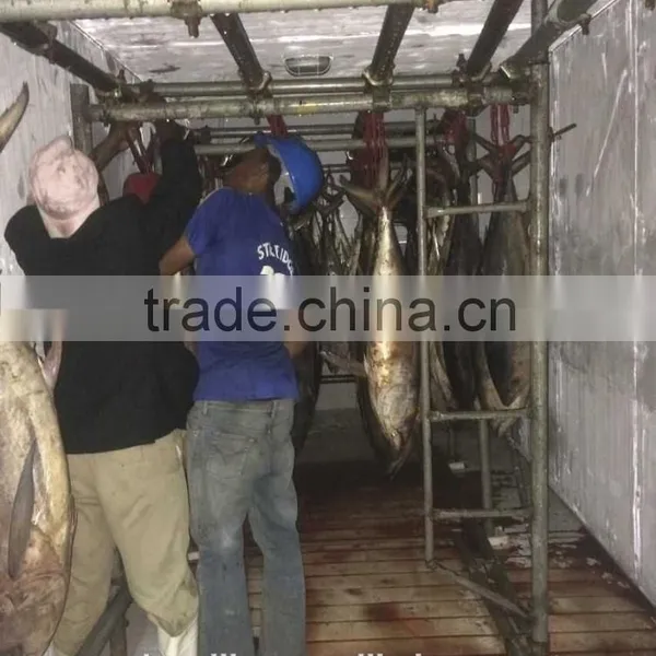 +15 to +8 C Cold Storage Room photo-2