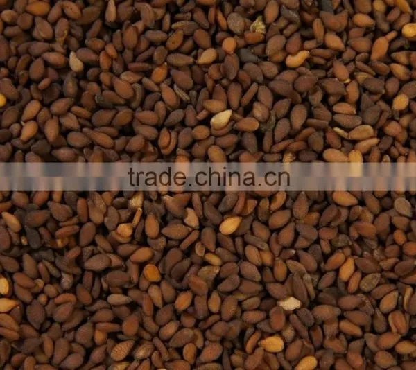 Brown Sesame Seed photo-2