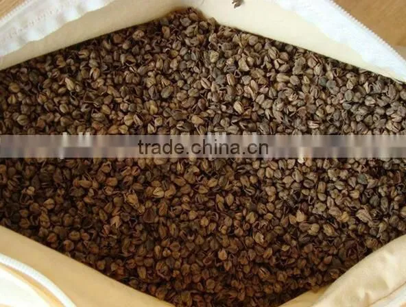 BB High Quality Raw Sweet Buckwheat Price photo-3