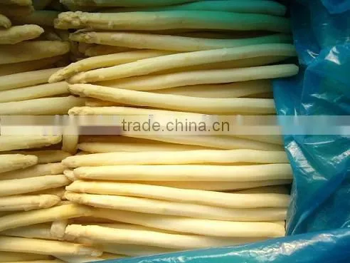 IQF Fresh Green Asparagus From China photo-5