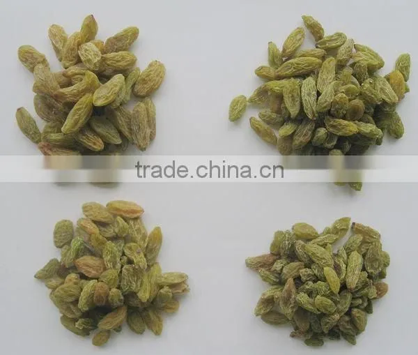 Big Size Sweet Green Raisin Hot Sale photo-2