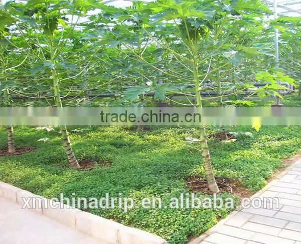 Drip Irrigation Drip Tape Irrigation Male Threaded Tee Drip Line photo-5