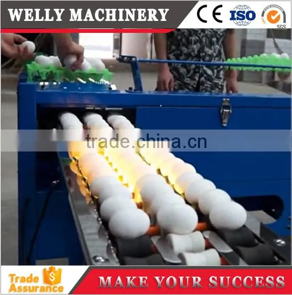 Factory Supply Egg Grading Machine 3500-4500pcs/h photo-4