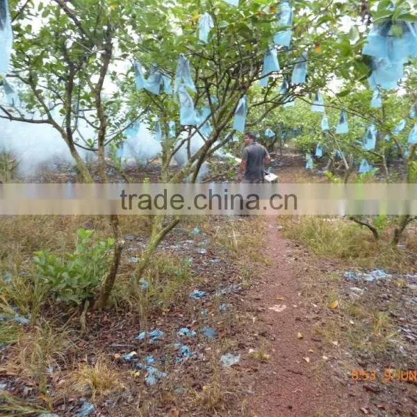 Hot Sales Fumigation Thermal Fogger With Mosquito Control photo-5