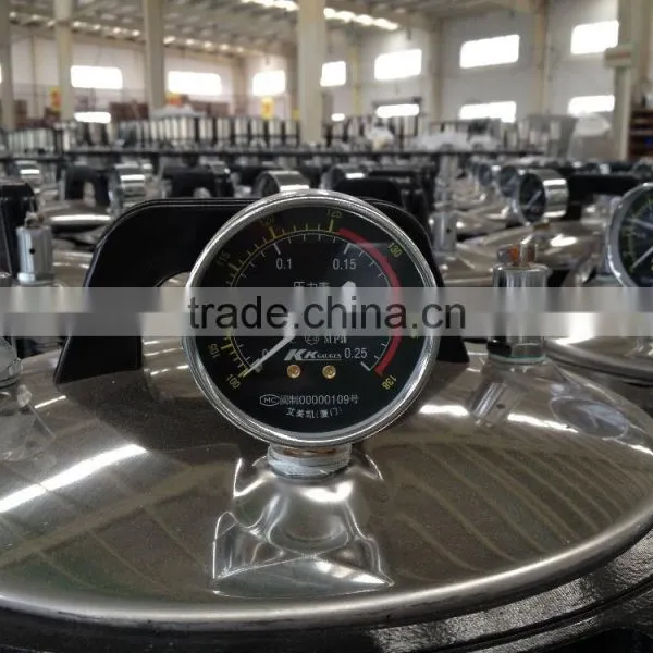 YX-280B Portable Sterilizer Autoclave - Bluestone Autoclave photo-4