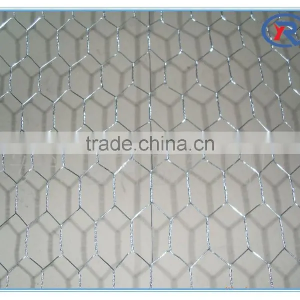 China Lowest Price Galvanized Hexagonal Wire Netting/decorative Chicken Wire Mesh photo-5