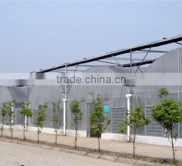 Mechanism Roll up Ventilation Film Greenhouse photo-2