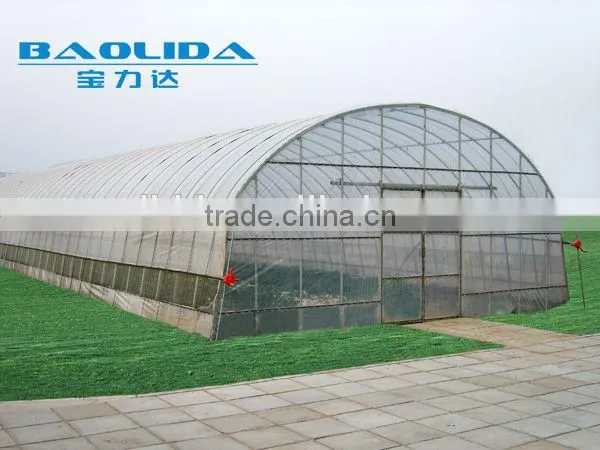 Baolida Simple Tunnel Green House photo-3