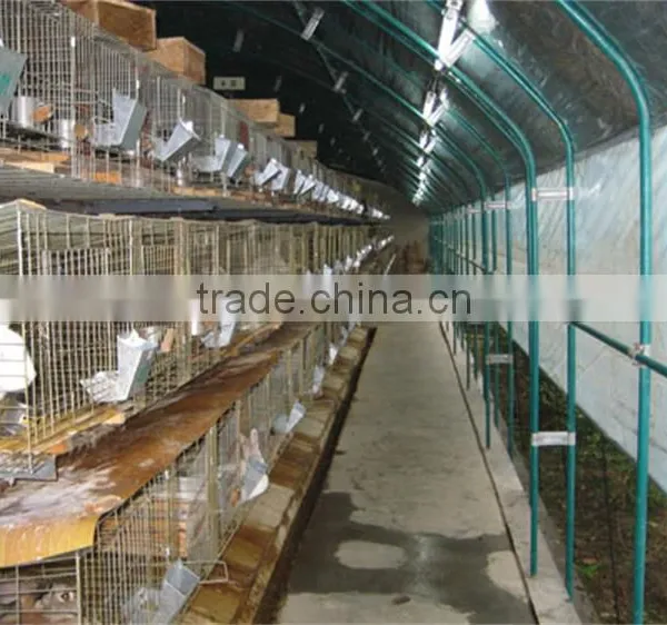 Low Cost Tunnel Greenhouse for Poultry Farming Equipment photo-5