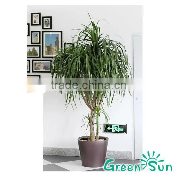 Household Flower Pot With Water Level Indicator,self Watering Planter,plastic Flower Pot,nursery Pots photo-2