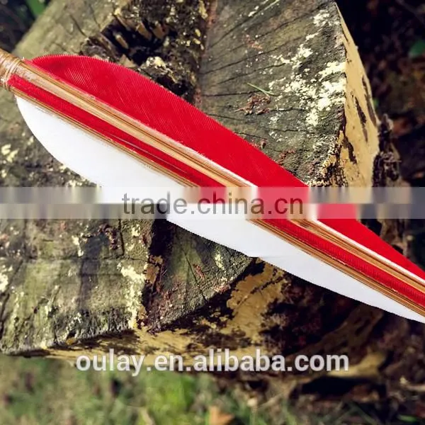110cm Rainbow Tonkin Bamboo Long Arrows photo-2