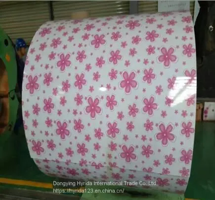 Flower Pattern Design PPAL Aluminium Coil photo-4