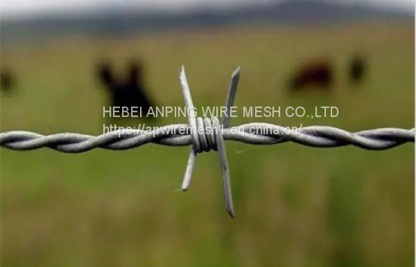 China Hebei Anping Manufacturer Barbed Wire Good Quality photo-5