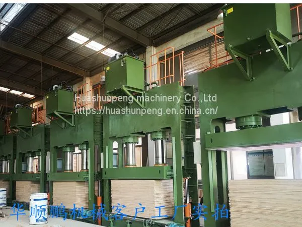 400 Ton Cold Press Wood Veneer Decorative Board Artificial Board Joinery Board photo-3