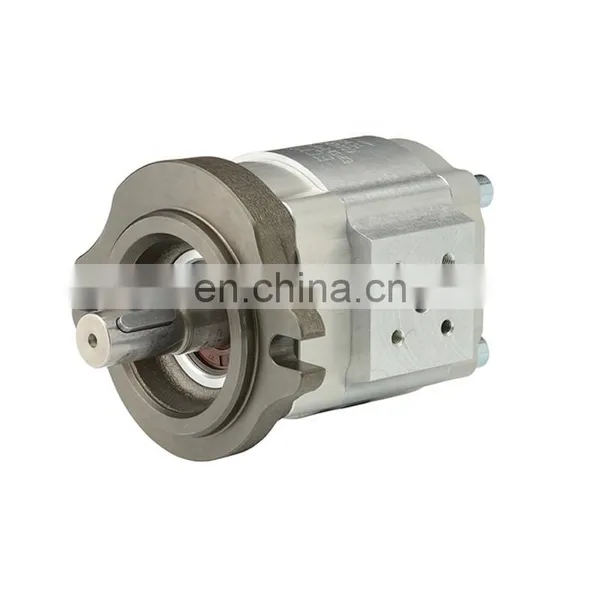 ECKERLE EIPS2-022RA04-12 S111 Gear Pump photo-2