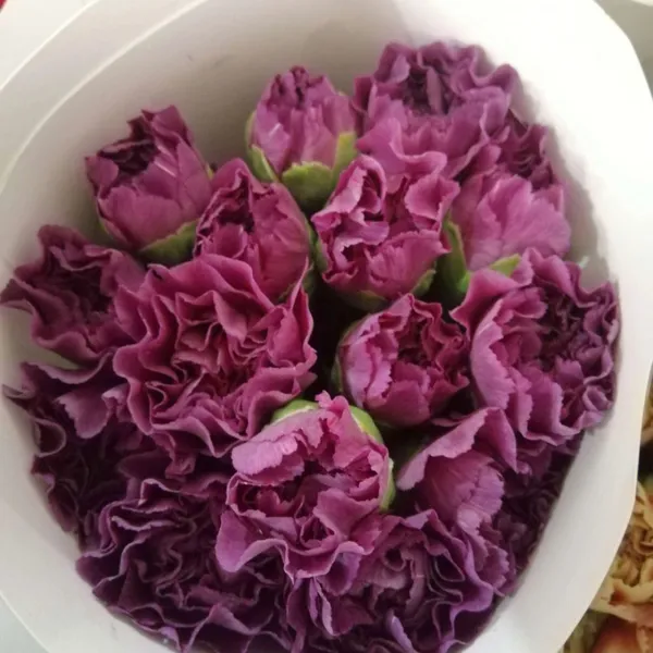 Fresh Cut Berry From China China Fresh Flower Supplier photo-5
