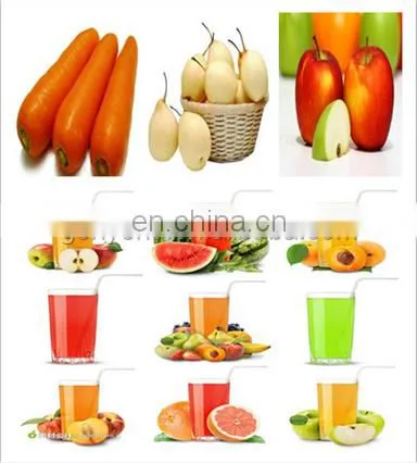 Best Price Fruit Vegetable Paste Juice Making Equipment in China Food Concentration Machine photo-4