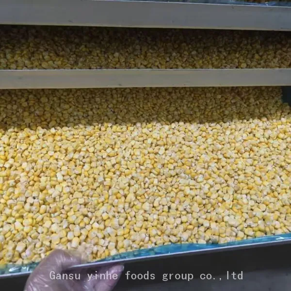 Pure Nature Organic Freeze Dried Sweet Corn photo-4