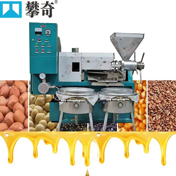 Multifunctional Cold Press Commercial Edible Peanut Oil Mill Machine Coconut Oil Press Machine for Small Business From China