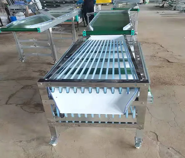 Avocado Fruit Sorting Grading Machine Sorter Grader Machine Line Classifying Machines photo-2