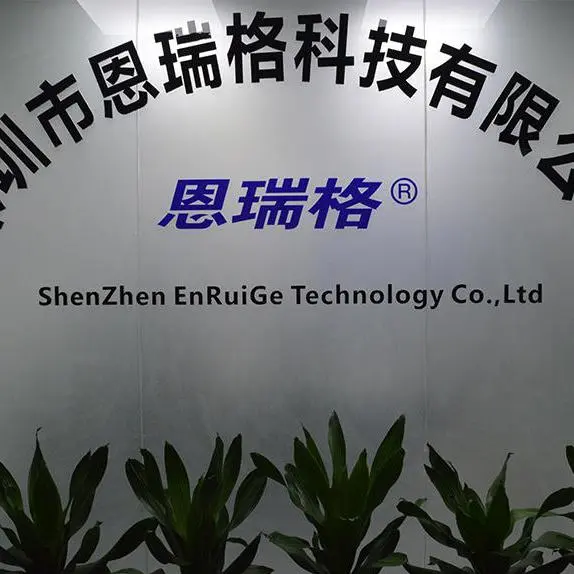 Shenzhen Enruige Technology Co Ltd company overview - view 1