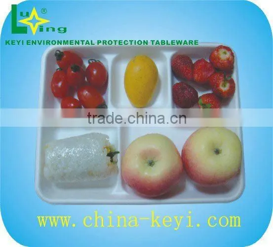 Bio-degradable Paper Tray