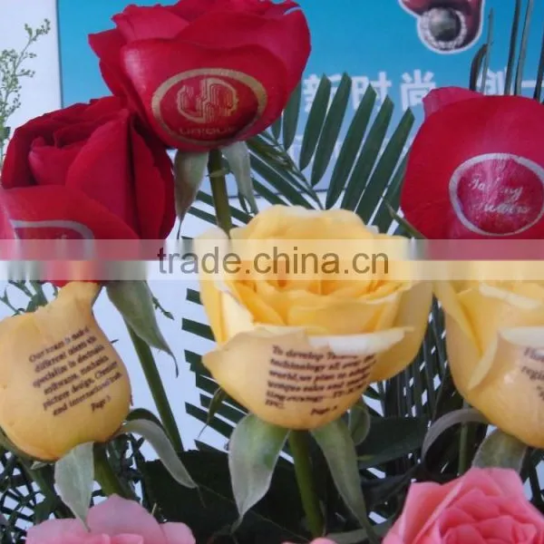 Best Selling Flower Printer for Sale photo-6