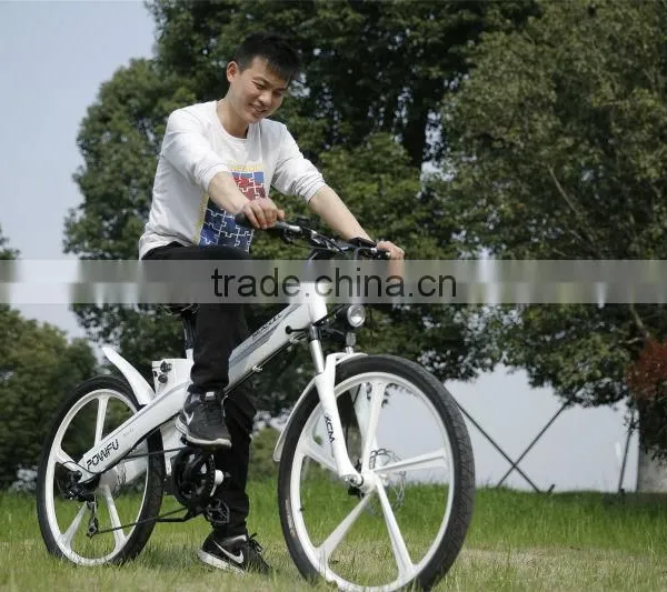 Hot Sale EN 15194 Electric Bicycle With Motor Front Mag Wheel photo-4