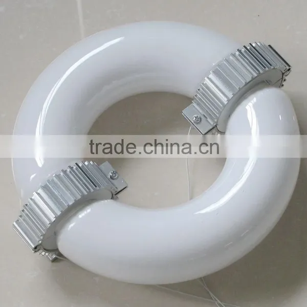 Dimmer Induction Lamp