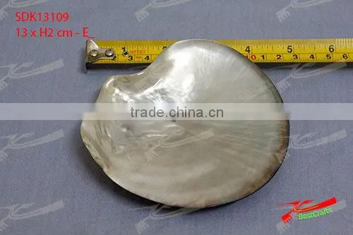 Shell / MOP Plate photo-2