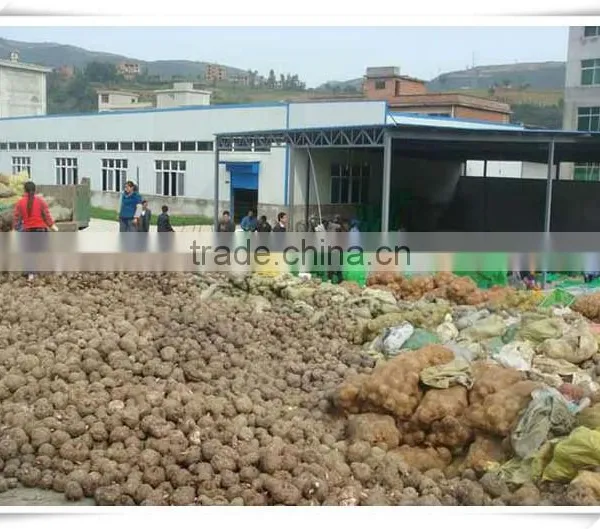 Haccp Konjac Noodles photo-5