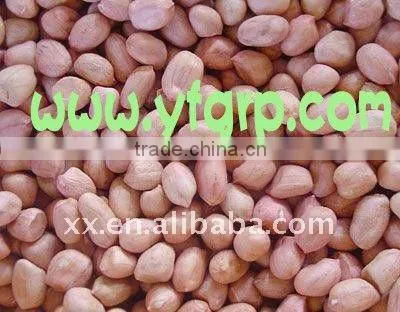 Best Price of Peanut Seed
