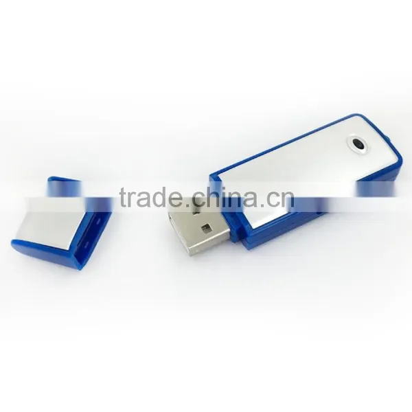 2 In1 Mini USB Disk Drive Digital Audio Voice Recorder