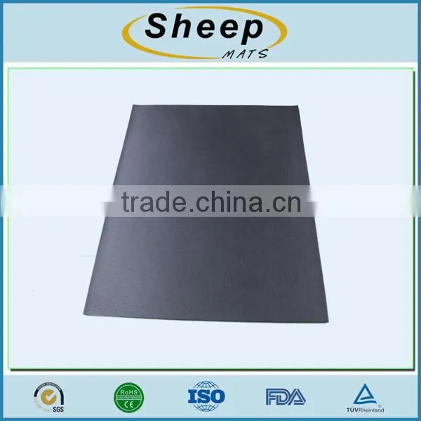 PVC Floor Fitness Products Mat