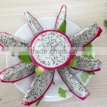 Dragon Fruit