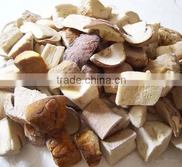 Sell Boletus Edulis, Frozen Boletus Edulis
