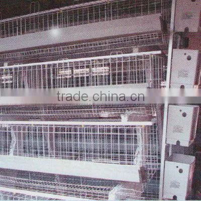 Anping Factory Manufacturer of Chicken Breeding Coop Cage Welded Chicken Cage Wire Mesh photo-6