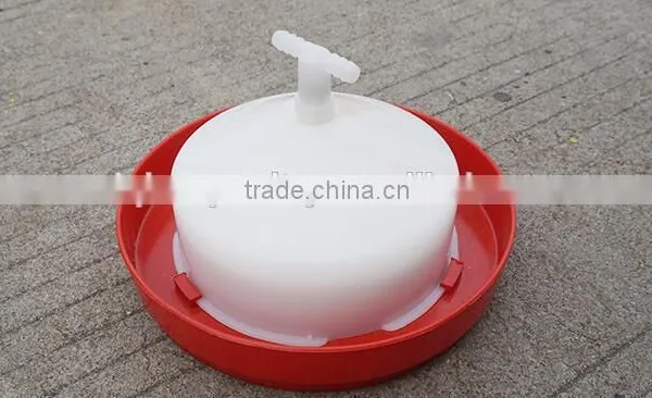 Automatic Chick Drinker Water Feeder for Chicken Poultry Equipments photo-3
