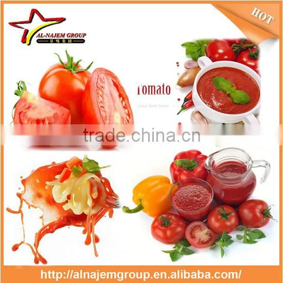 Best Sale Tomato Paste Sachet Packing Machine Tomato Ketchup Making Machine Tomato Sauce Filling Machine photo-3
