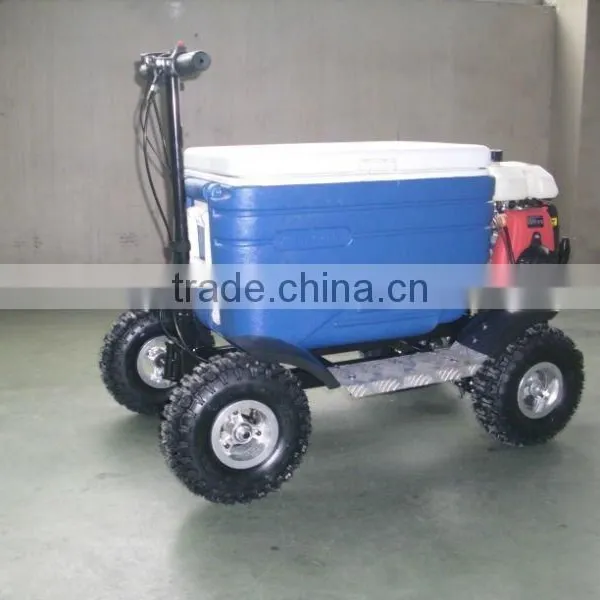Best Gift Barbecue Gas Cooler Scooter 43CC SX-G110 From China photo-2
