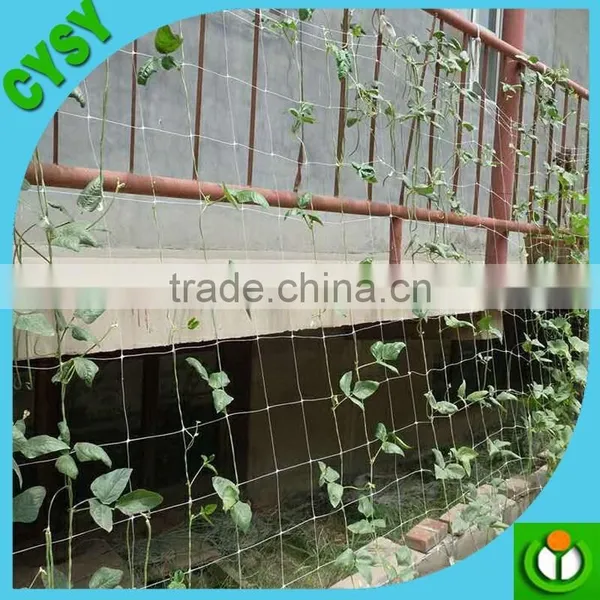 Heavy Duty Long-lasting Flexible Trellis Netting Polyester Net Plant Support Net photo-5