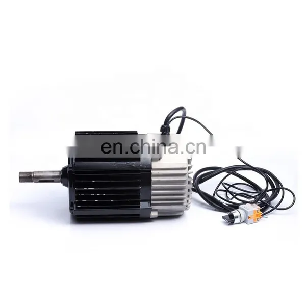Custom 220Vac 1000w 2000w 250w 2kw 36v 250w 3000w Bldc Hub Motor Car Brushless dc Motor photo-3