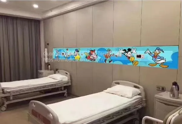 Hopsital Patient Room Using Medical Gas Pipeline System Terminal Equipment of Wall Mount Bed Head Trunkings Panel photo-5