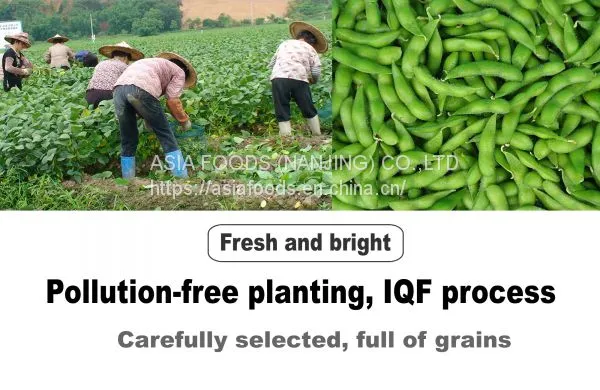 Frozen Shelled Soybeans,shelled Edamame,HACCP,ISO22000,BRC,HALAL,KOSHER photo-3